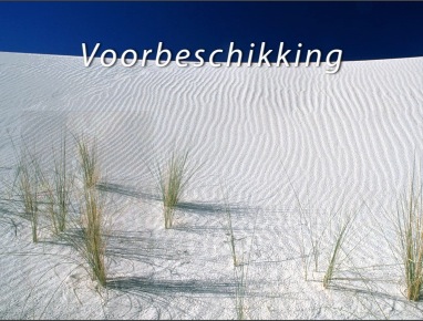 Voorbeschikking